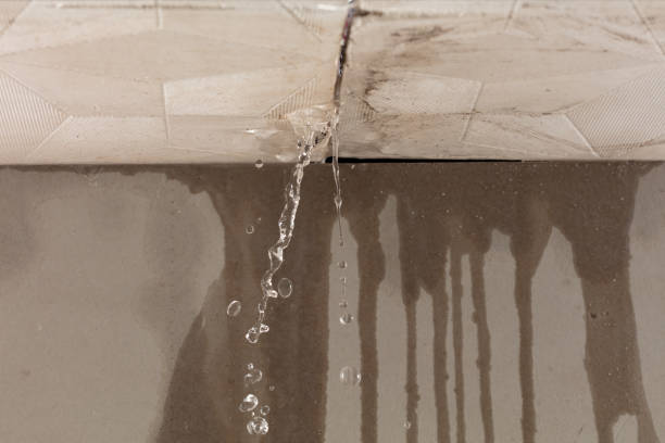 Professional Water Extraction technician working in Henriette, MN